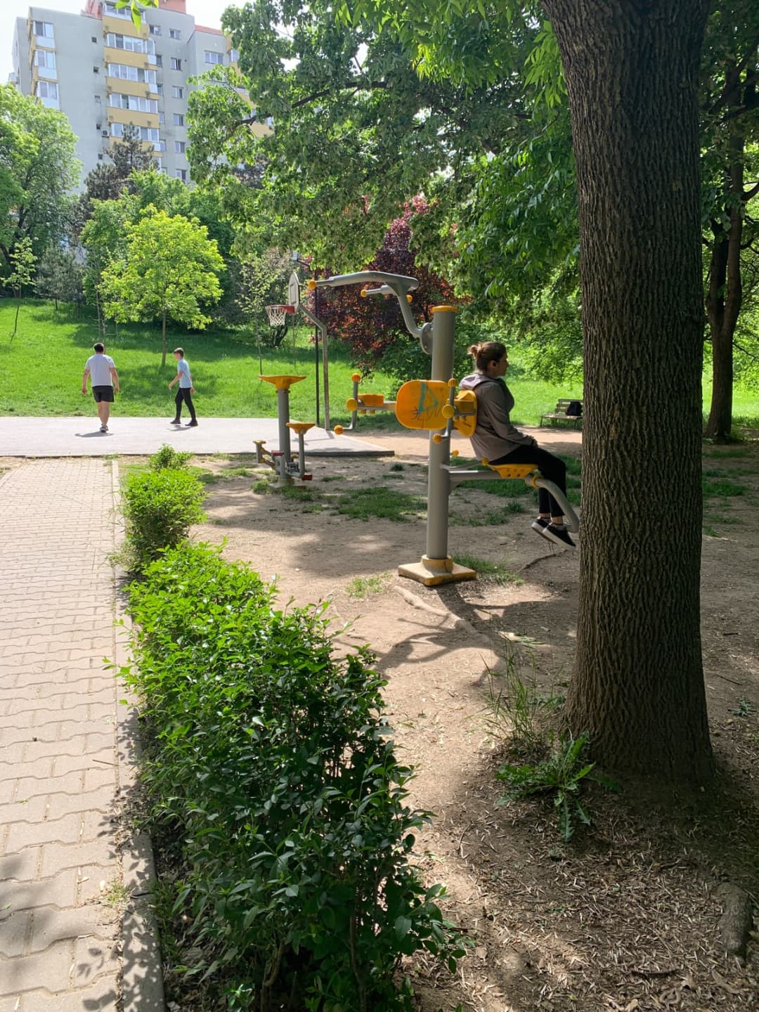 Турнік на майданчику Calisthenics Park at Strada Doamna Ghica, București – фото 1 з 2