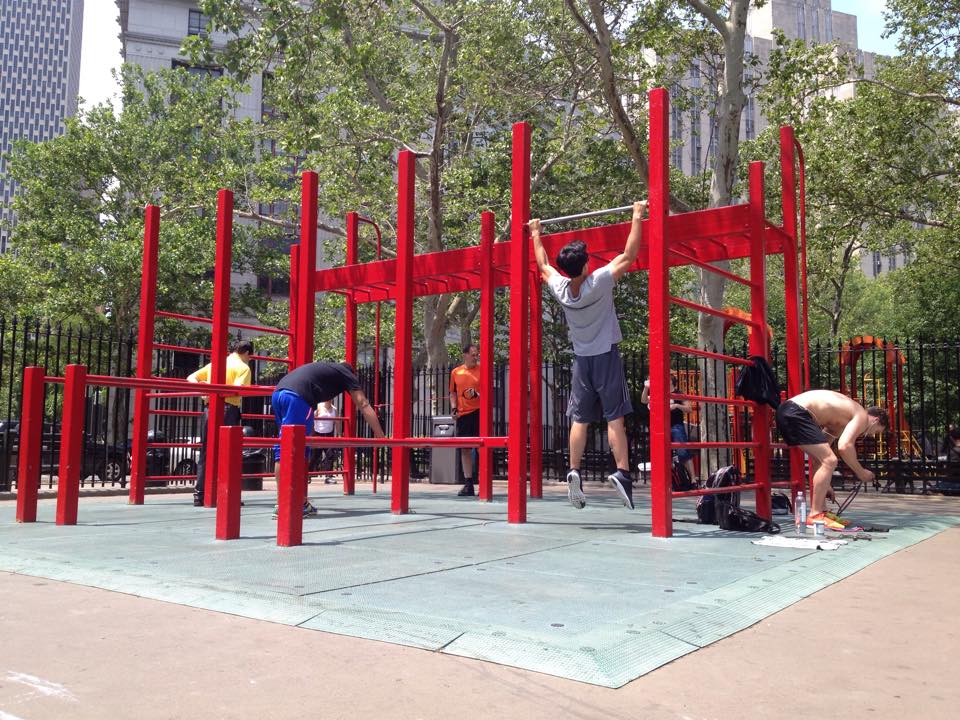 Pull Up Bar at Calisthenics Park at Worth Street, City of New York – photo 1 of 1