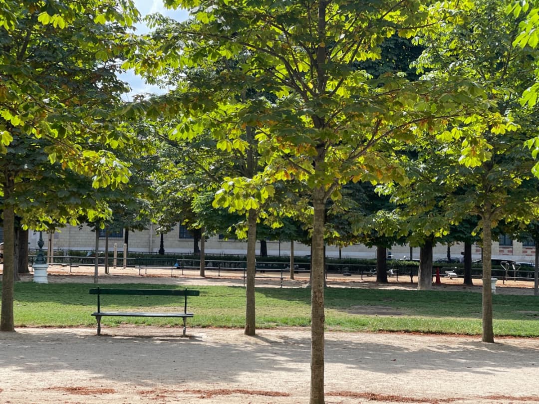 Турник на площадке Calisthenics Park at Allée Nicole Fontaine, Paris – фото 1 из 1