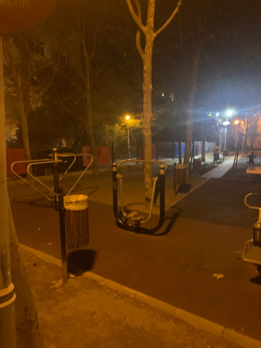Воздушный ходок на площадке Calisthenics Park at Strada Smaranda Brăescu, București – фото 2 из 2