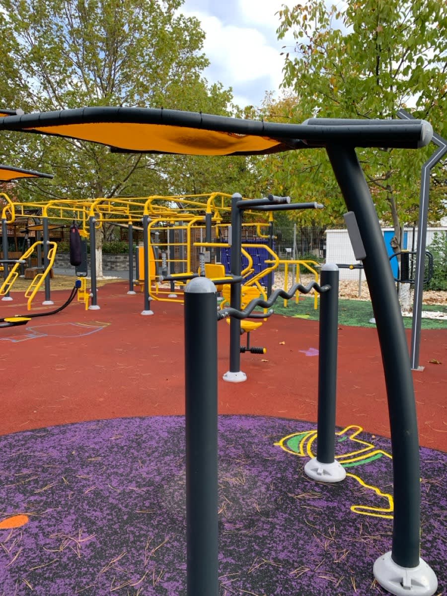 Monkey Bars at Calisthenics Park at Strada Tudor Vladimirescu, Voluntari – photo 3 of 3
