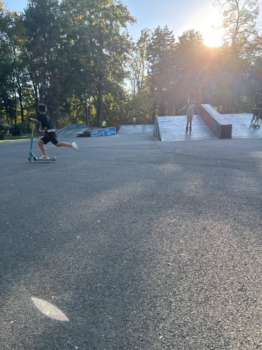 Calisthenics Park at Skatepark 2, București – фото 2 з 2