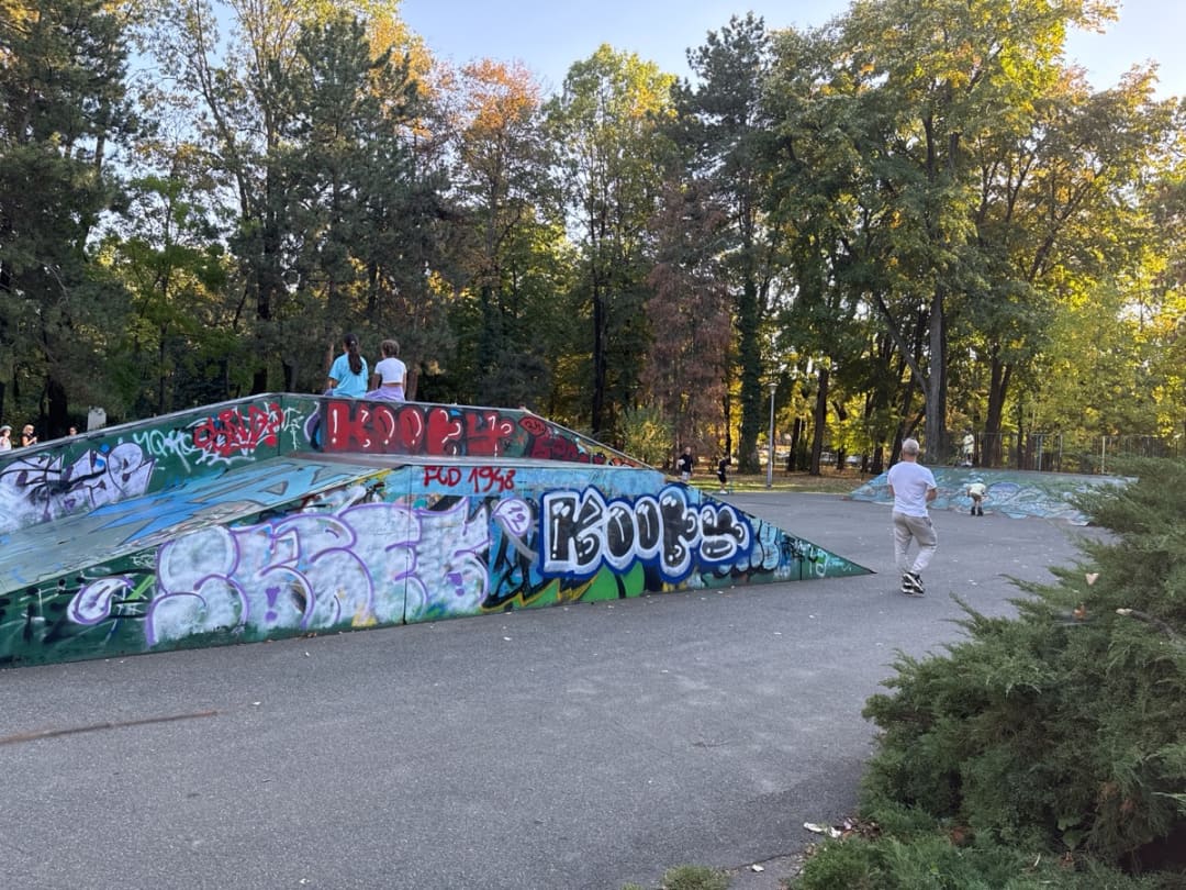 Calisthenics Park at Skatepark 2, București – фото 1 з 2