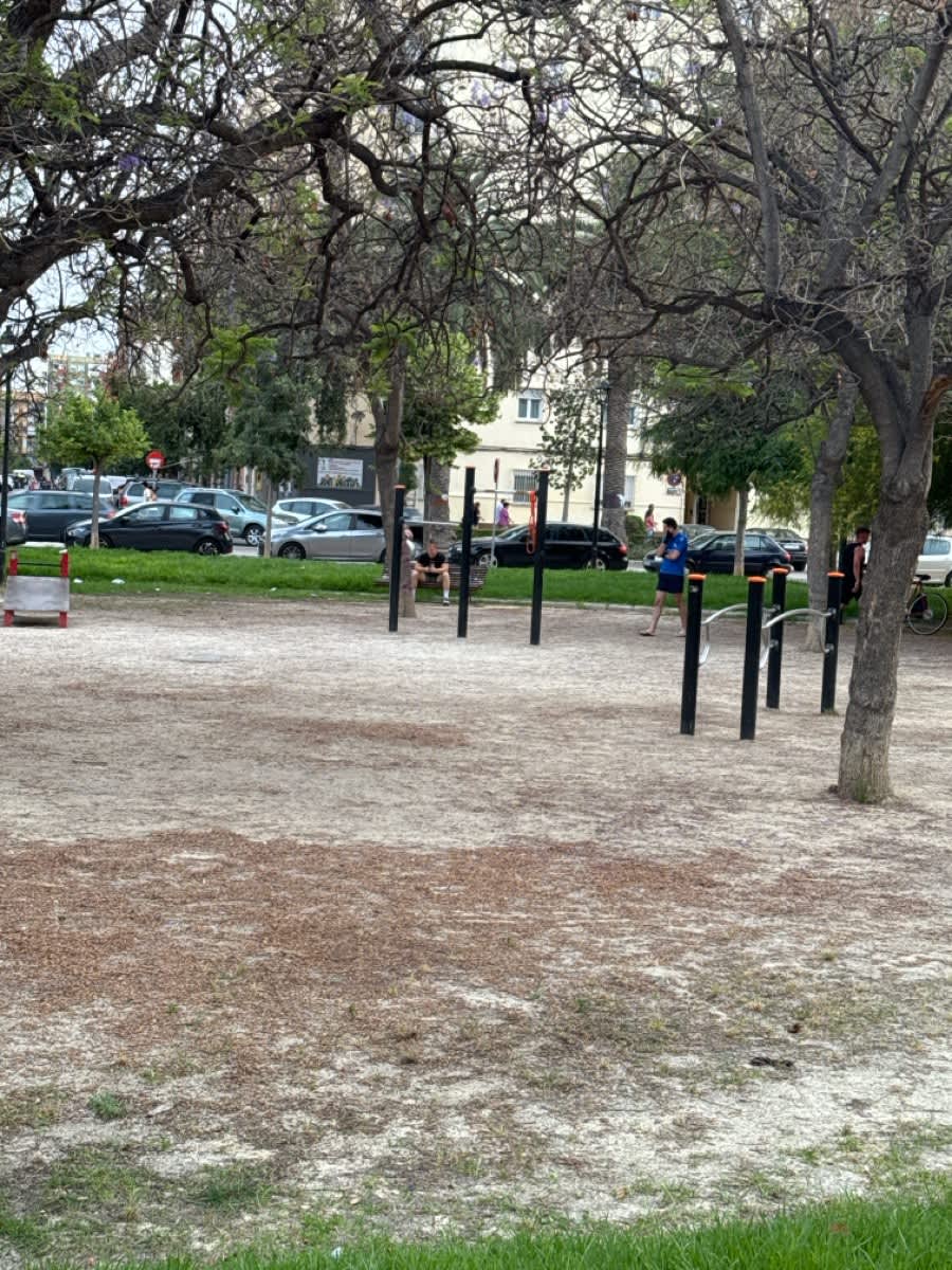Barras Paralelas en Calisthenics Park at Avinguda de Blasco Ibáñez, València – foto 2 de 3