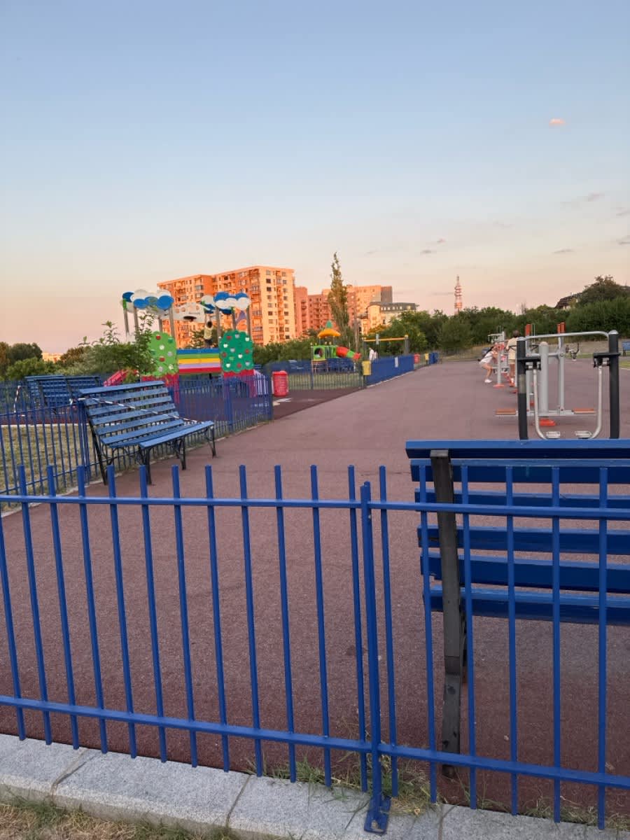 Air Skier at Calisthenics Park at Intrarea Urcușului, București #wp3737 – photo 3 of 3