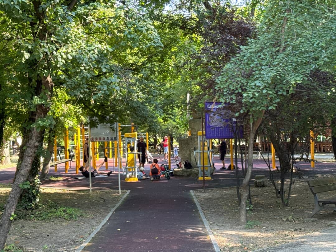 Шведская стенка на площадке Calisthenics Park at Bulevardul Basarabia, București – фото 1 из 2