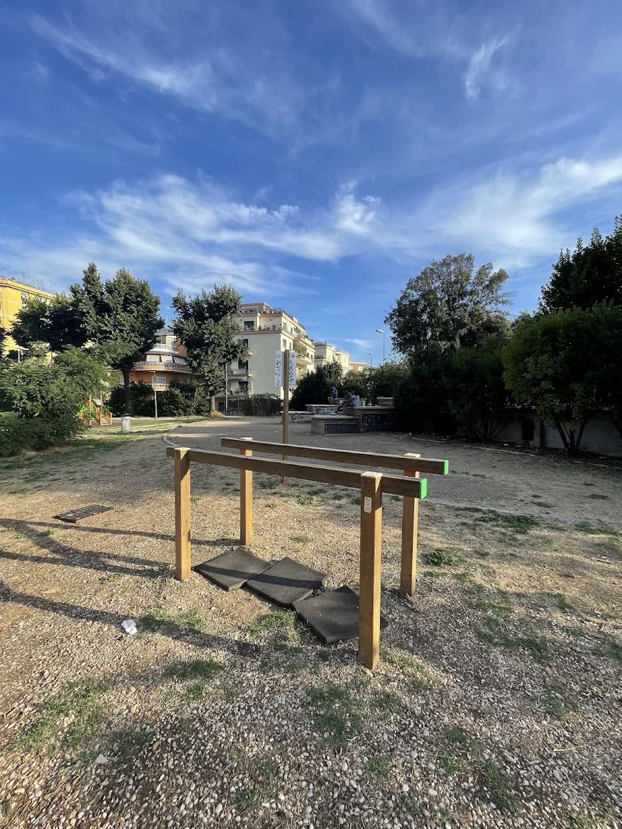Bară de tracțiuni la Calisthenics Park at Viale Paolo Di Nella, Roma – fotografia 1 din 3