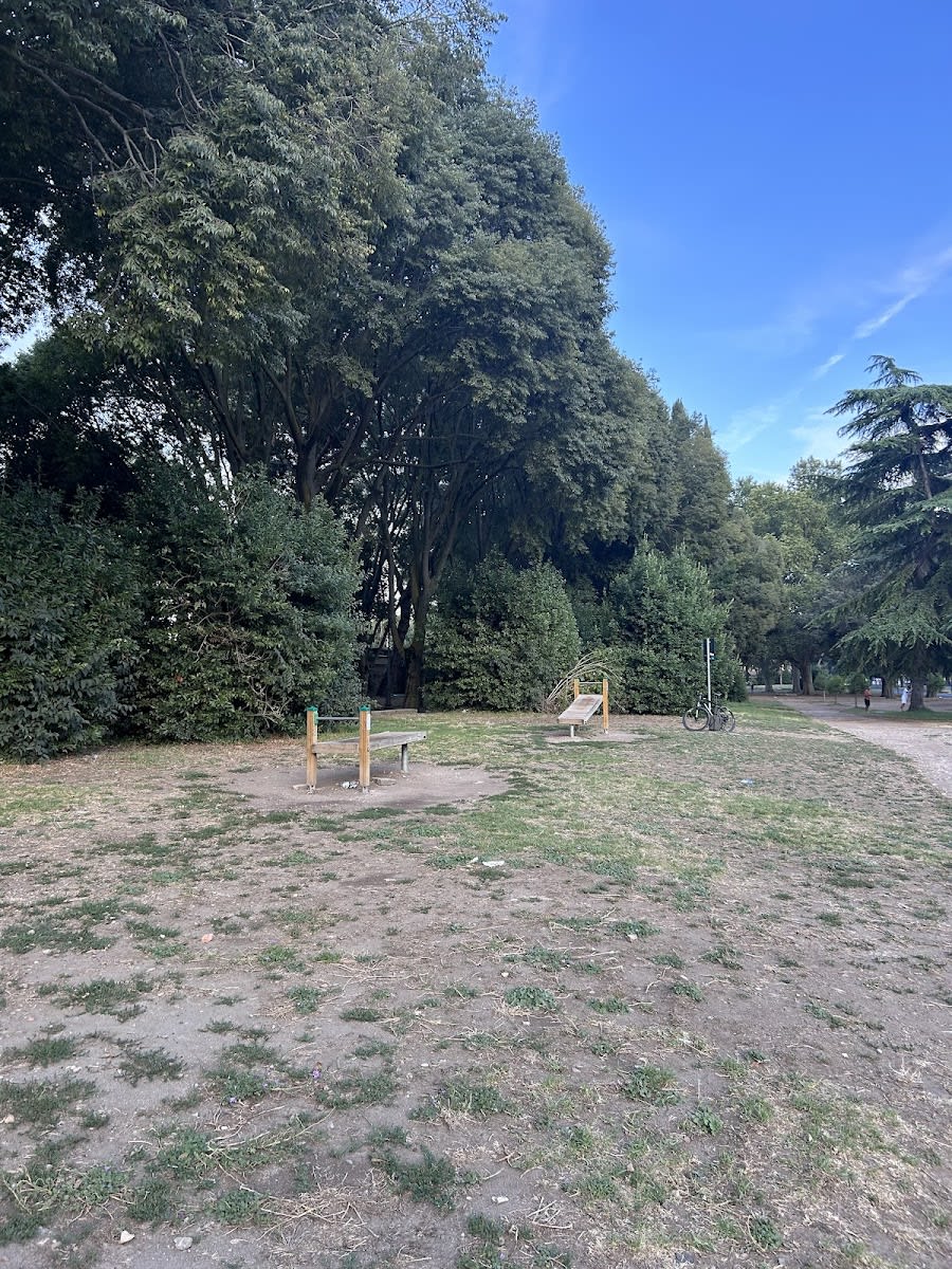 Spalliera presso Calisthenics Park at Via di Valle delle Camene, Roma – foto 3 di 5