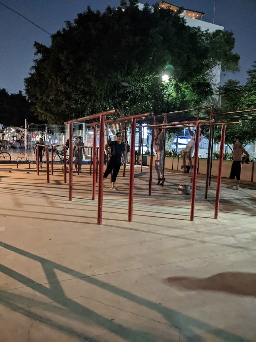 Турник на площадке Calisthenics Park at Barras de Insurgentes, Ciudad de México – фото 1 из 4