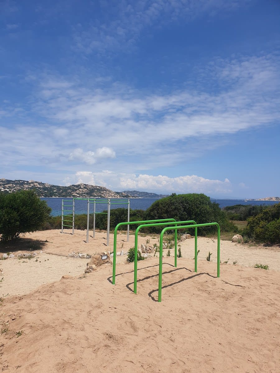 Monkey Bars at Calisthenics Park at Via la Sciumara, Lu Palau/Palau – photo 4 of 4