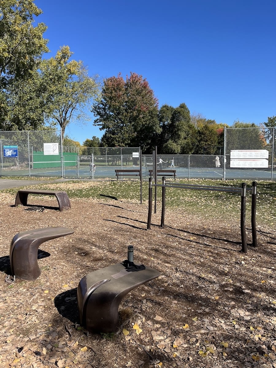 Parallel Gym Bars at Calisthenics Park at Rideau River Eastern Pathway, Ottawa #wp3854 – photo 2 of 5