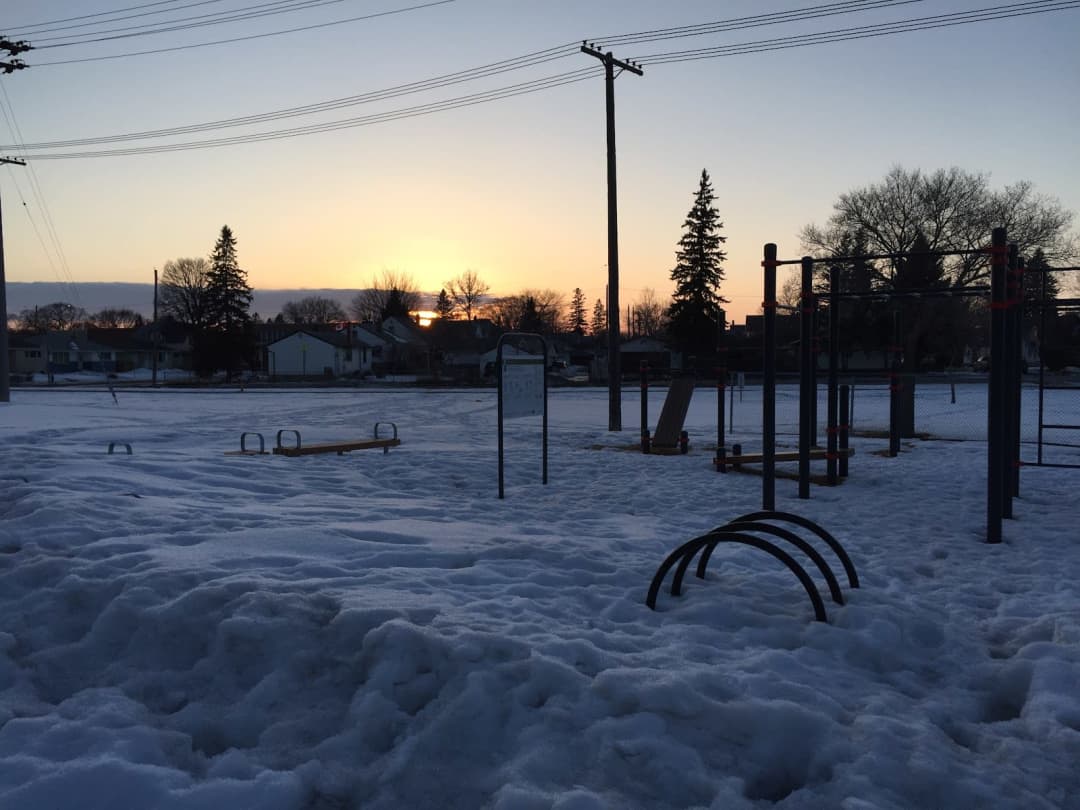 Monkey Bars at Calisthenics Park at Northeast Pioneers Greenway, Winnipeg – photo 4 of 4