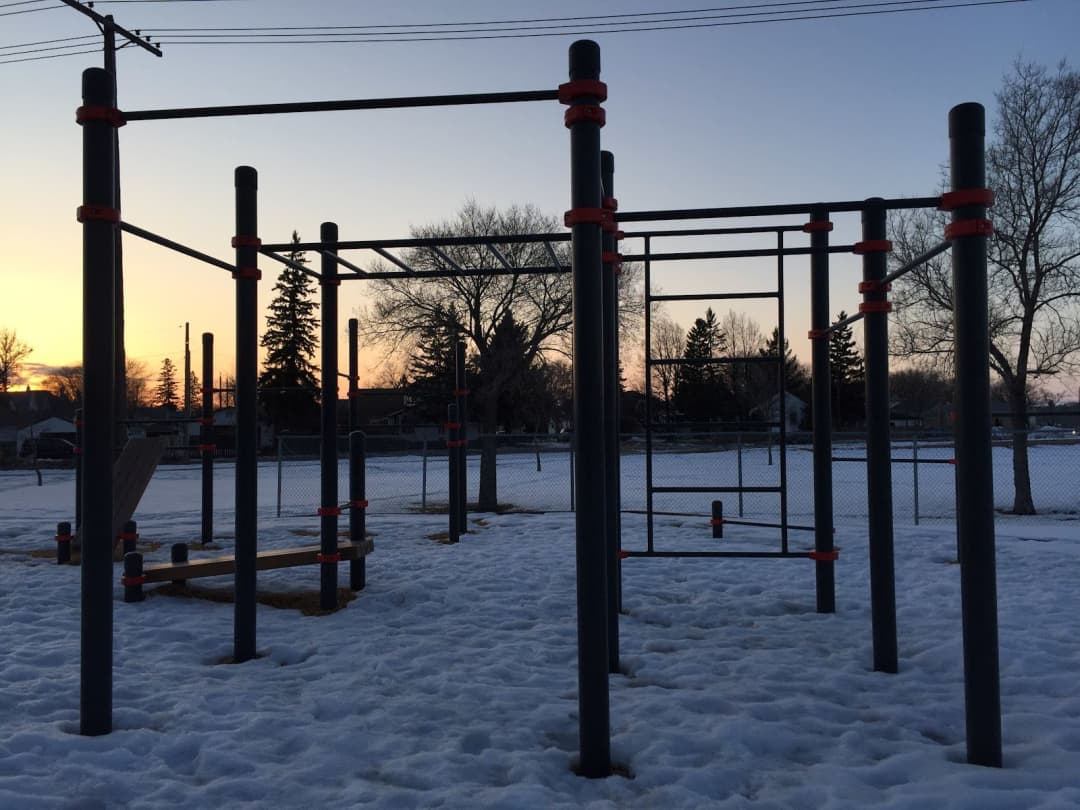 Wall Bars at Calisthenics Park at Northeast Pioneers Greenway, Winnipeg – photo 3 of 4