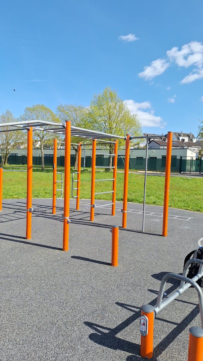 Barre de traction à Calisthenics Park at Curraheen Close, Cork – photo 1 sur 3