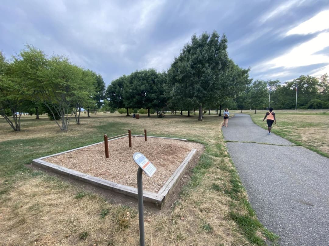 Sbarra per trazioni presso Calisthenics Park at Freedom Way, Jersey City – foto 9 di 13