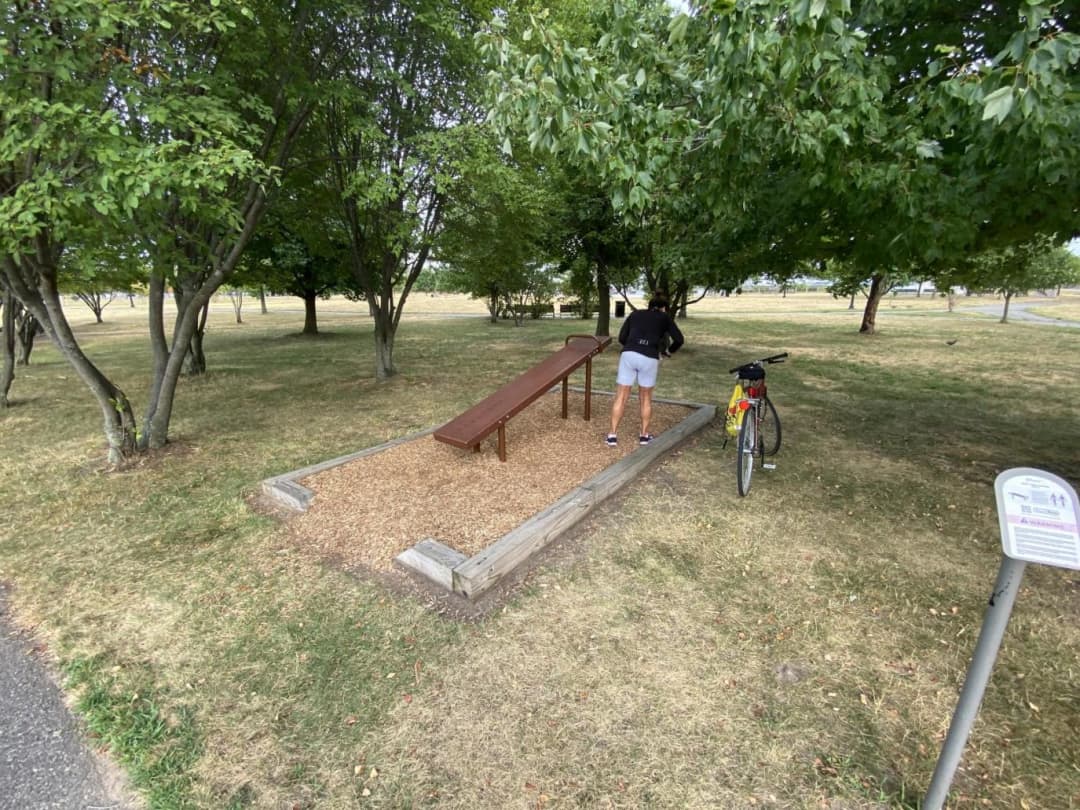 Maniglie per piegamenti presso Calisthenics Park at Freedom Way, Jersey City – foto 2 di 13