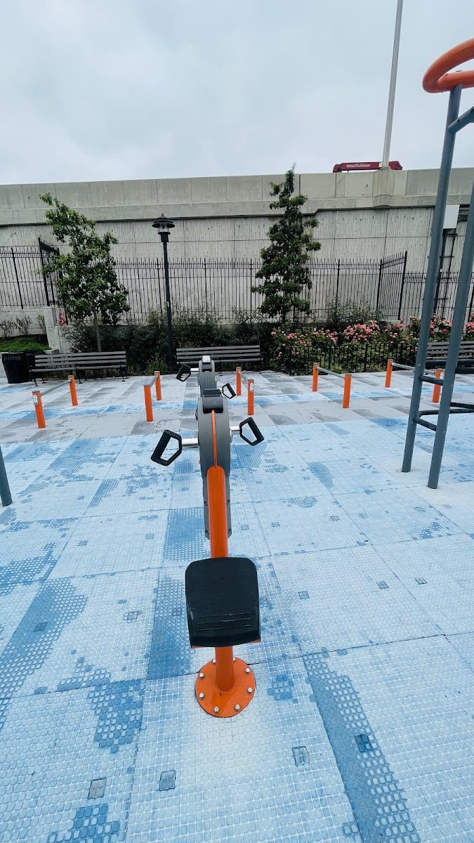 Monkey Bars at Calisthenics Park at 43rd Street, New York – photo 3 of 6