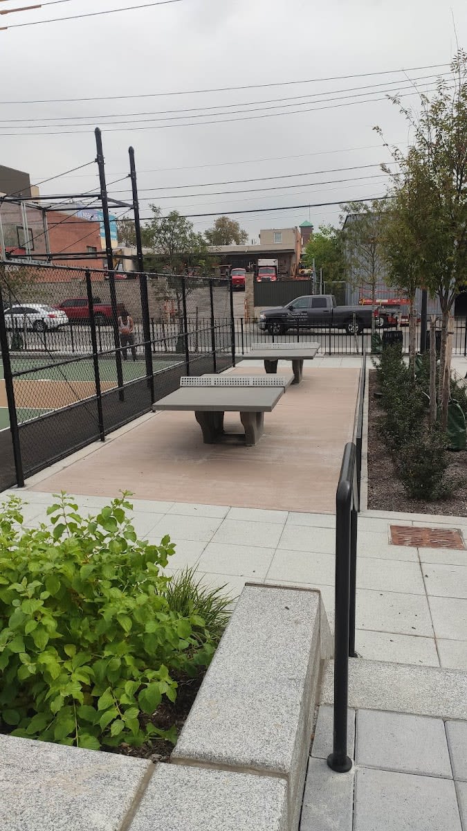 Gymnastic Rings at Calisthenics Park at 43rd Street, New York – photo 6 of 6