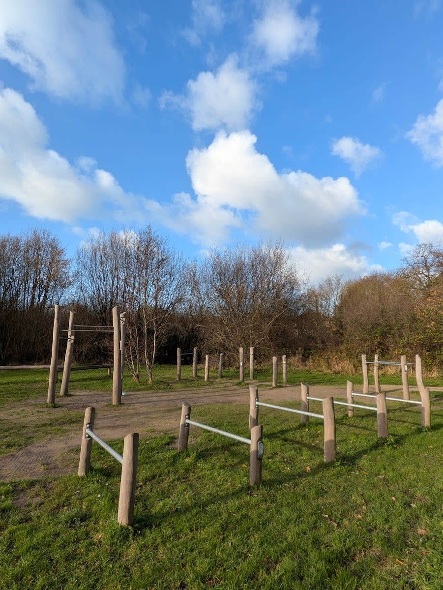 Pull Up Bar at Calisthenics Park at Ballinacurra Gardens, Limerick – photo 5 of 10