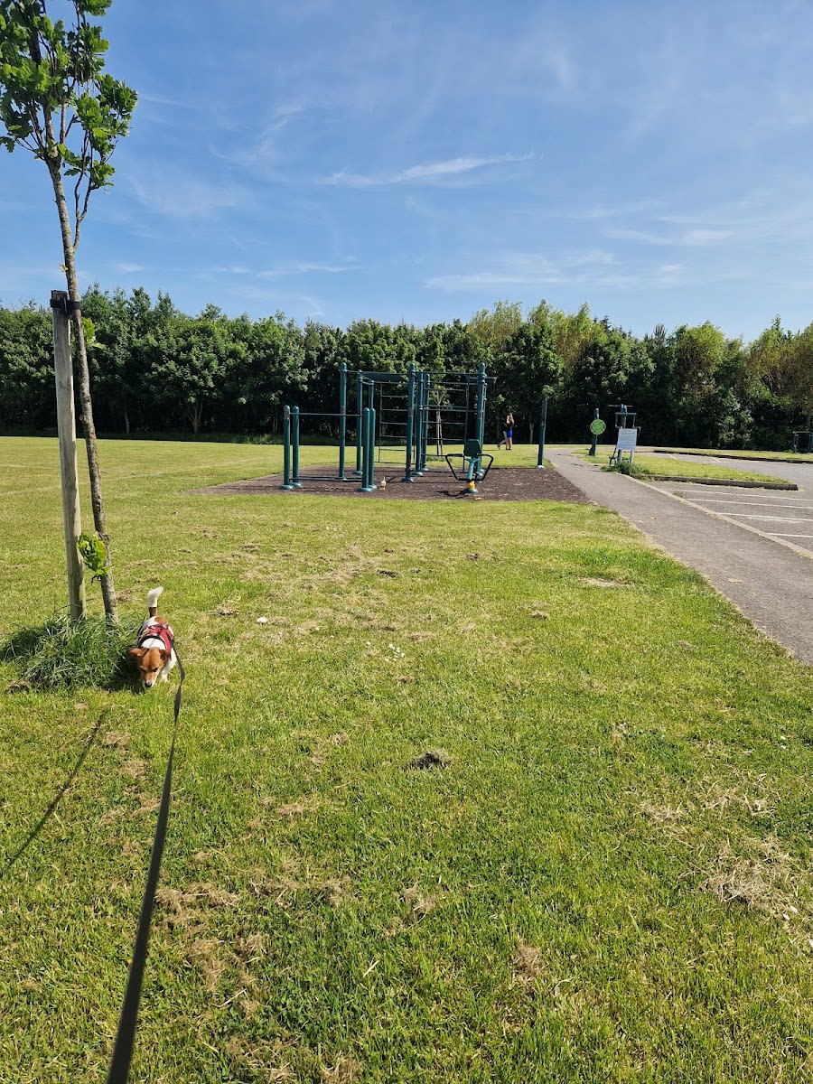 Klimmzugstange bei Calisthenics Park at Kettle's Lane, Kinsealey – Foto 1 von 2