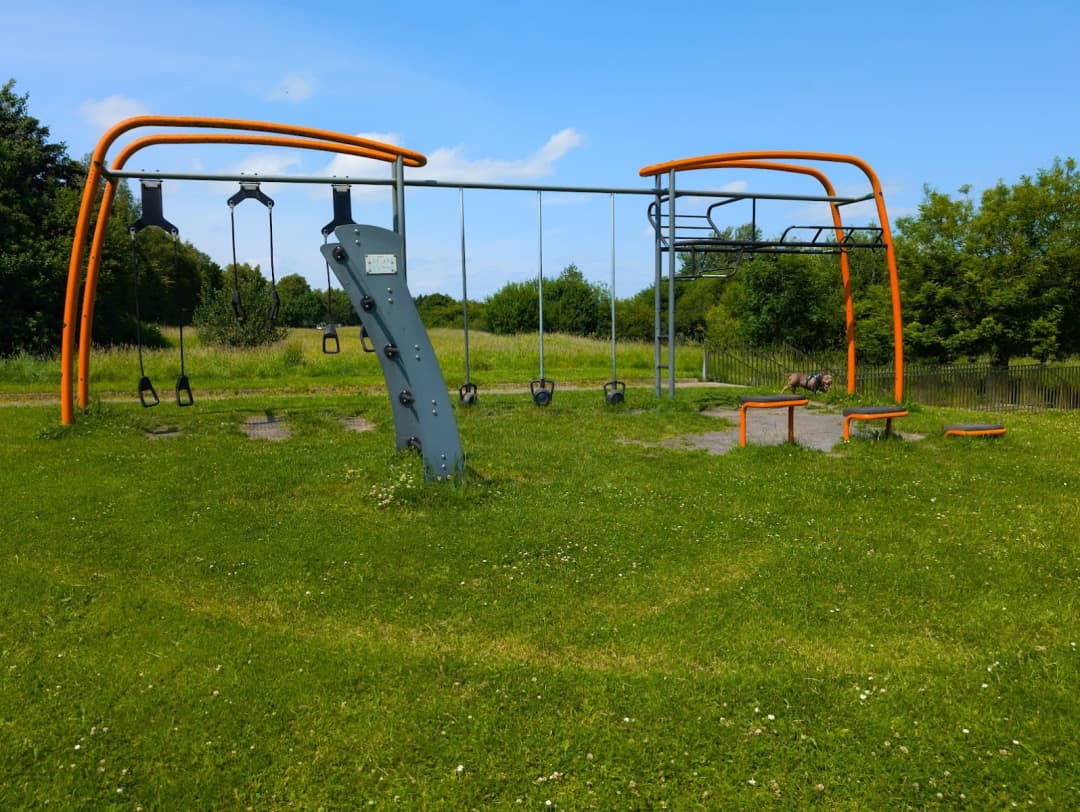 Рукоход на площадке Calisthenics Park at Riverside Drive, Kilkenny – фото 2 из 2