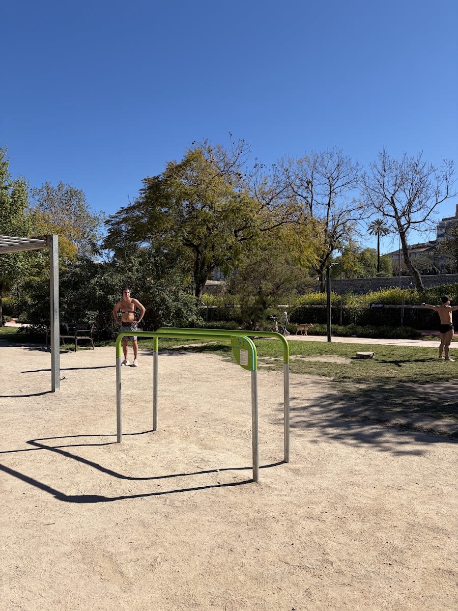 Barras de Mono en Calisthenics Park at Circuit 5K Jardí del Túria, València – foto 4 de 5