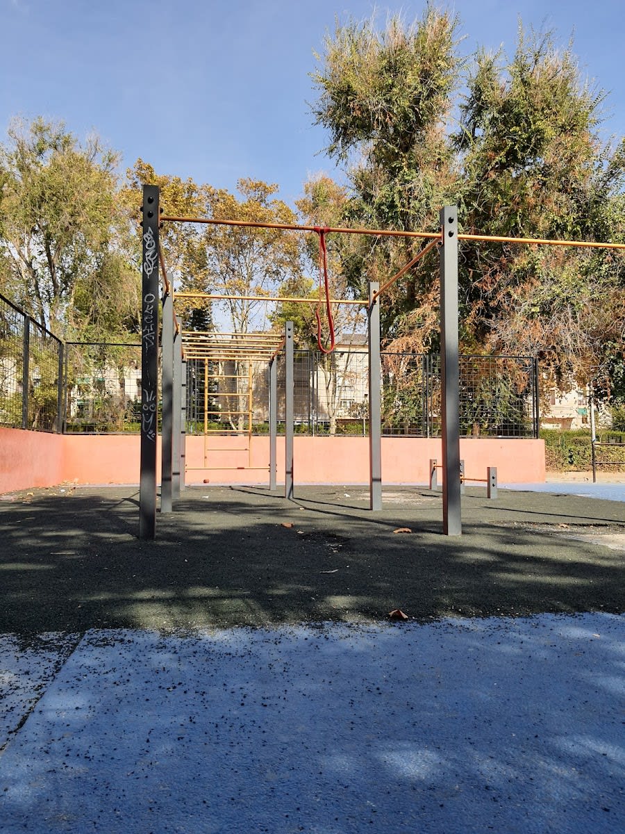 Monkey bar presso Calisthenics Park at Plaça de Magúncia, València – foto 3 di 4