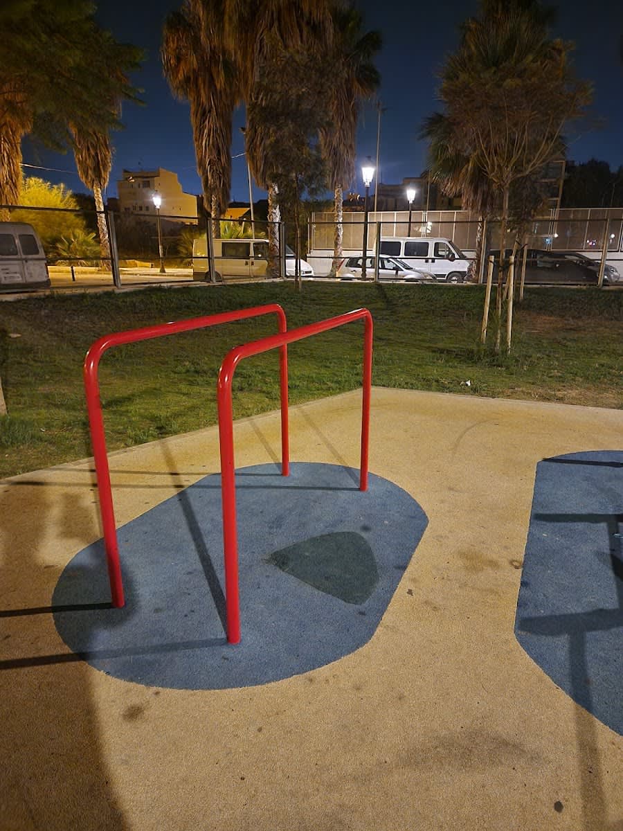 Monkey bar presso Calisthenics Park at Carrer del Bloc dels Portuaris, València – foto 4 di 4