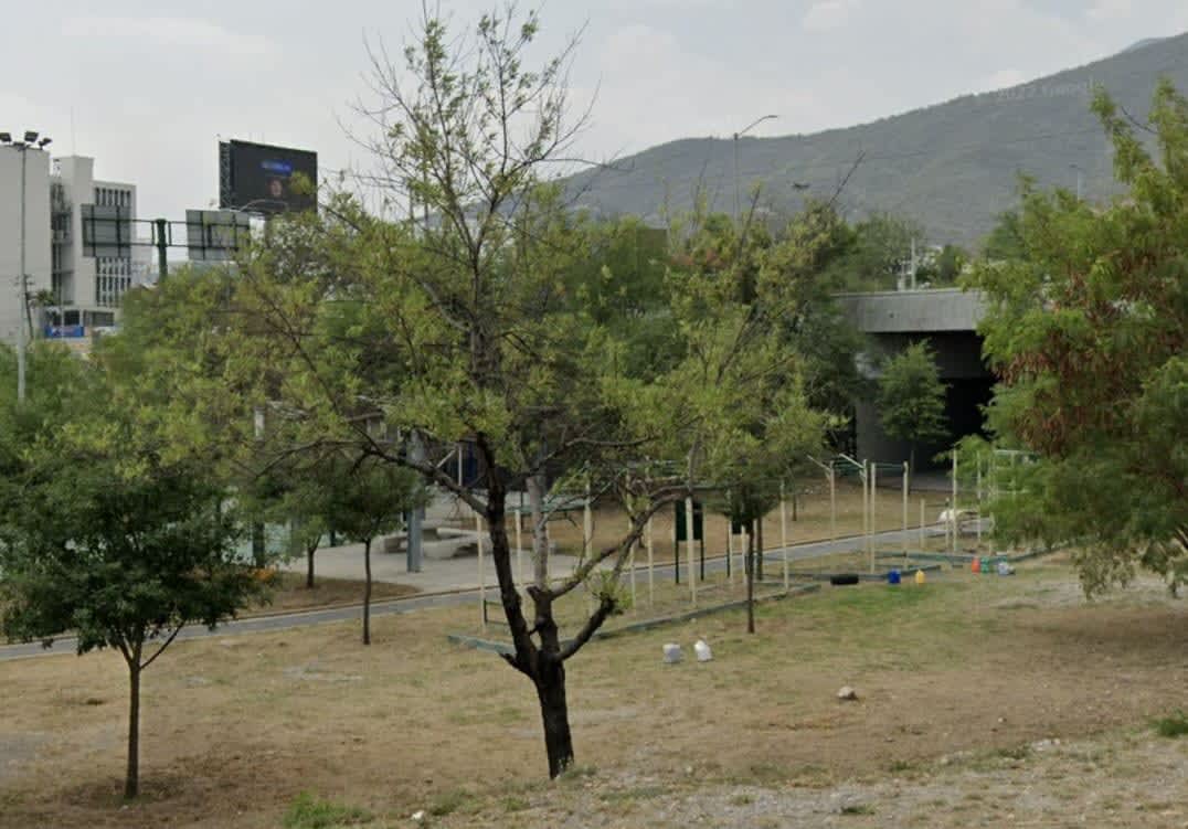 Pull Up Bar at Calisthenics Park at Paseo de los Conquistadores, Monterrey – photo 1 of 1