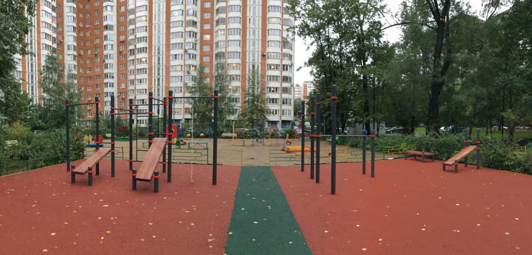 Wall Bars at Calisthenics Park at 15-я Парковая улица, Москва – photo 2 of 5
