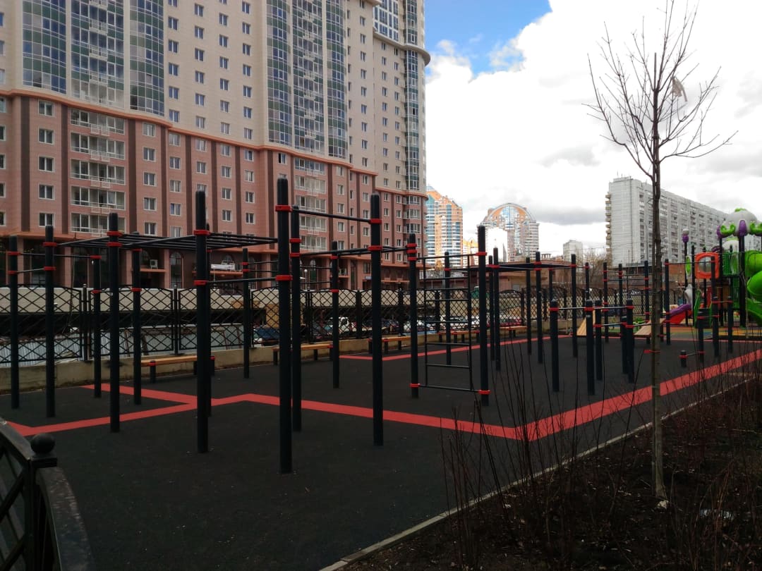 Monkey Bars at Calisthenics Park at улица Эльдара Рязанова, Москва – photo 3 of 4