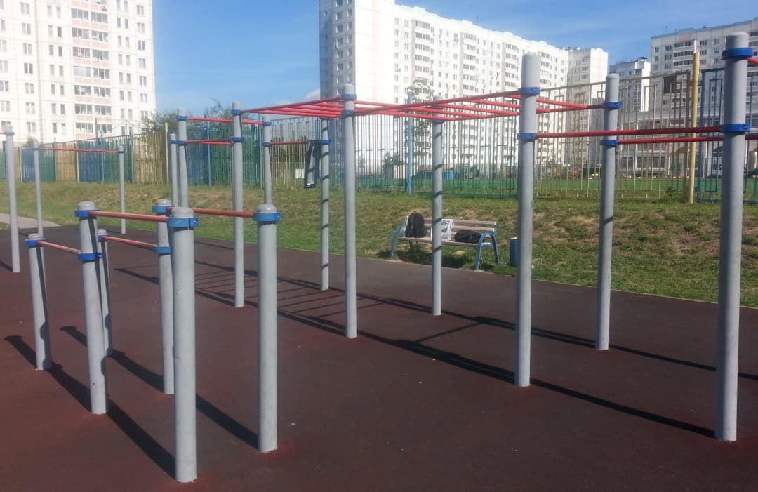 Monkey Bars at Calisthenics Park at Дмитровское шоссе (дублёр), Москва – photo 2 of 4