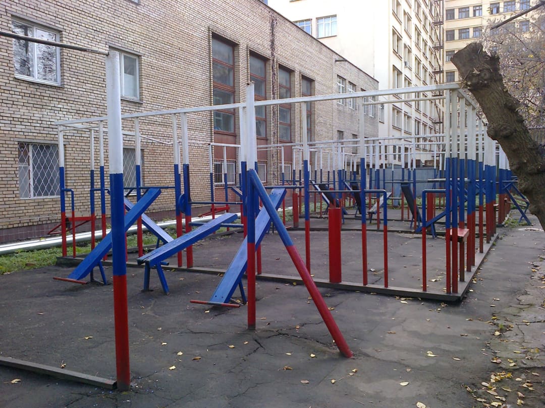 Monkey Bars at Calisthenics Park at улица Бурденко, Москва – photo 3 of 7