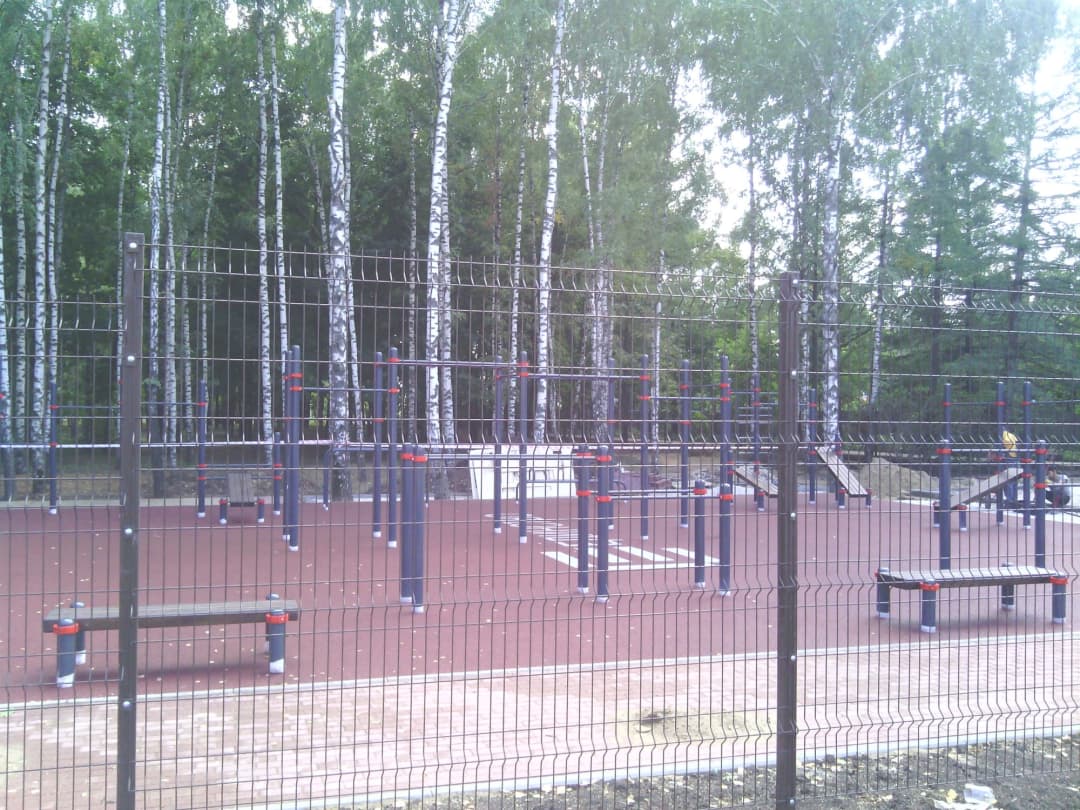 Bară de tracțiuni la Calisthenics Park at Чайка, городской округ Рязань – fotografia 1 din 8