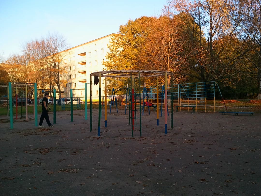 Monkey Bars at Calisthenics Park at Усходняя вуліца, Мінск #wp1579 – photo 4 of 6