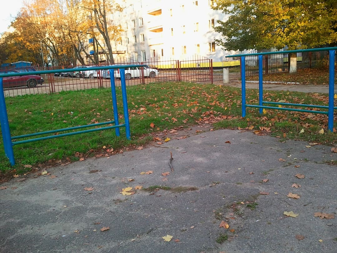 Push Up Bar at Calisthenics Park at Усходняя вуліца, Мінск #wp1579 – photo 2 of 6