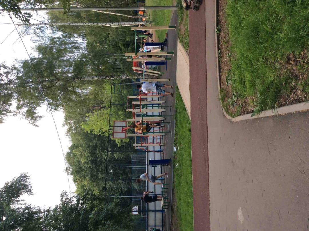 Parallel Gym Bars at Calisthenics Park at аллея Архитектора Долганова, Москва – photo 2 of 2