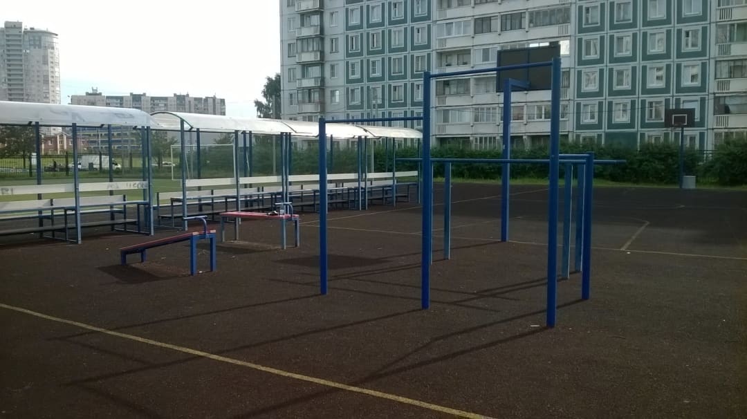 Parallel Gym Bars at Calisthenics Park at Камышовая улица, Санкт-Петербург – photo 2 of 2