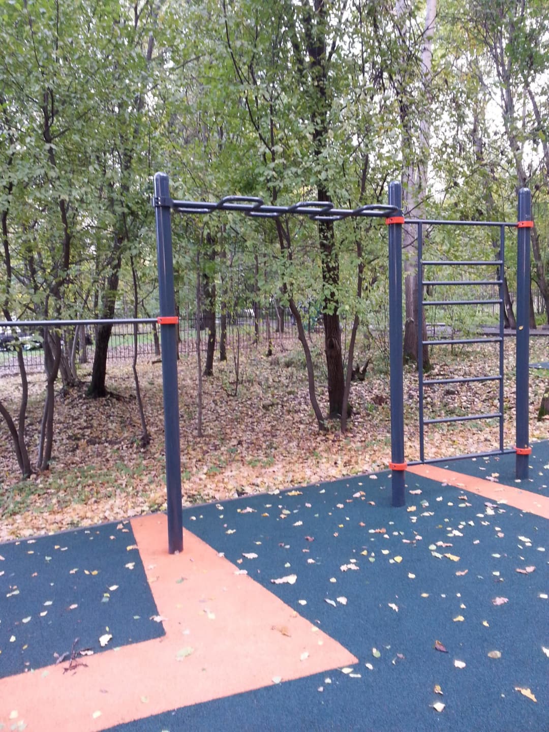 Pull Up Bar at Calisthenics Park at Череповецкая улица, Москва – photo 7 of 9