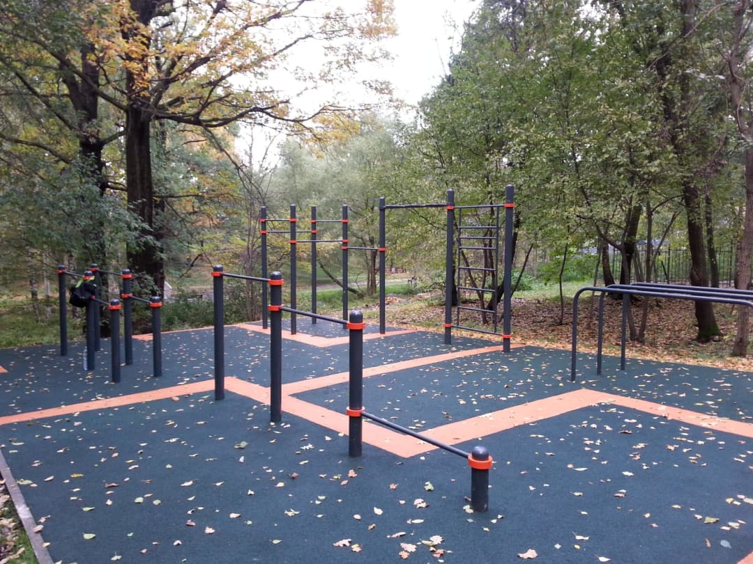 Monkey Bars at Calisthenics Park at Череповецкая улица, Москва – photo 4 of 9