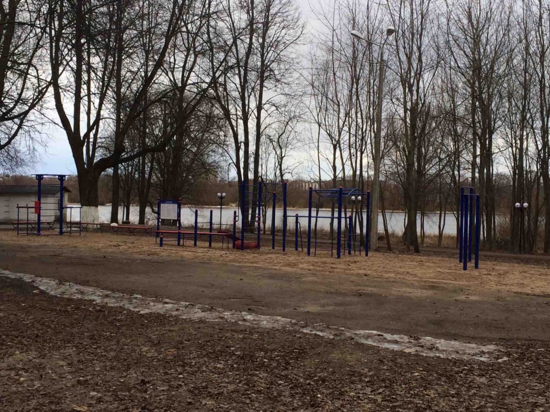 Push Up Bar at Calisthenics Park at Парковая улица, городской округ Великий Новгород – photo 2 of 2