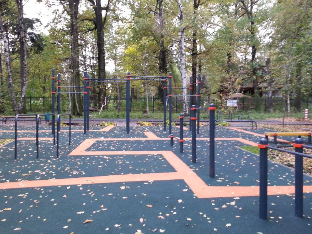 Wall Bars at Calisthenics Park at Череповецкая улица, Москва – photo 5 of 9