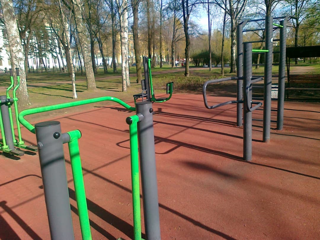 Wall Bars at Calisthenics Park at Средний проспект В.О., Санкт-Петербург – photo 3 of 3