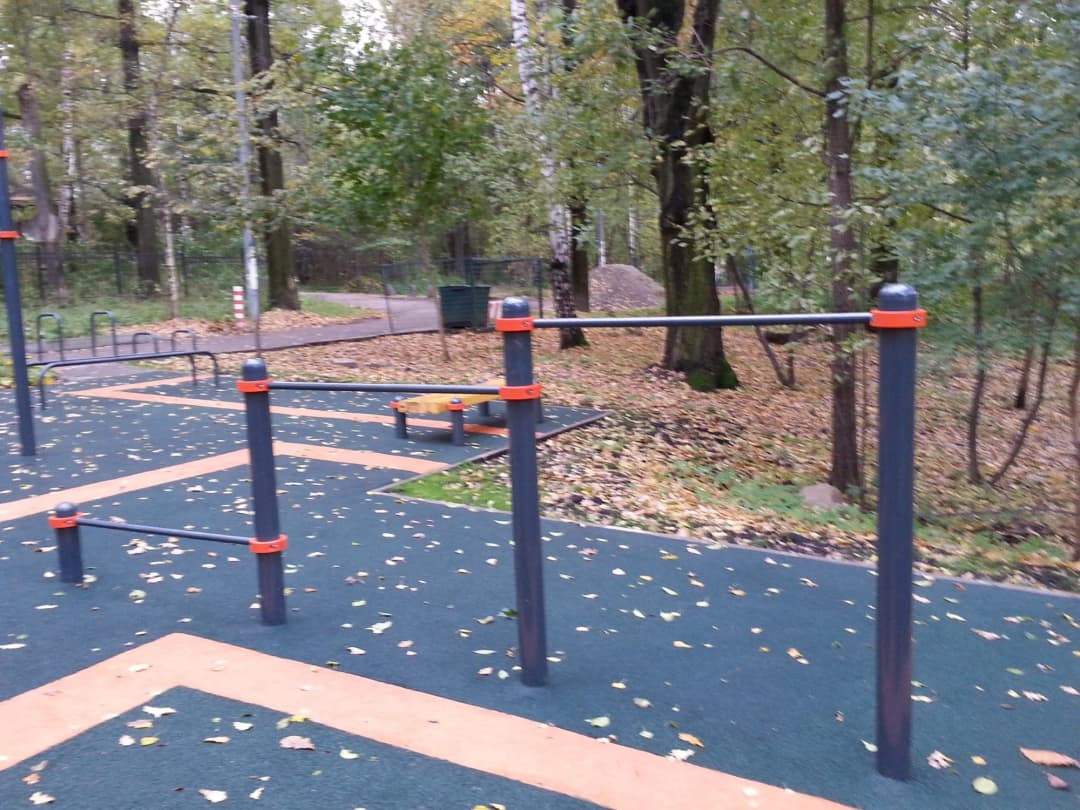 Push Up Bar at Calisthenics Park at Череповецкая улица, Москва – photo 8 of 9