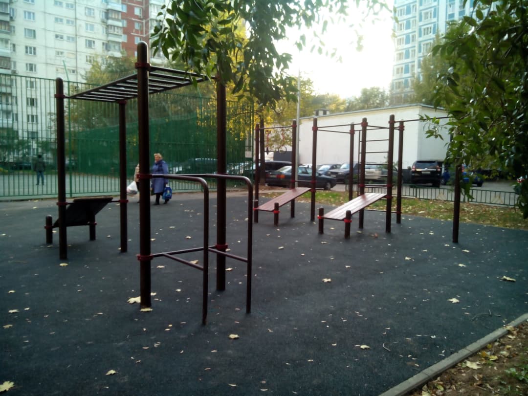 Monkey Bars at Calisthenics Park at улица Крылатские Холмы, Москва #wp2155 – photo 3 of 4