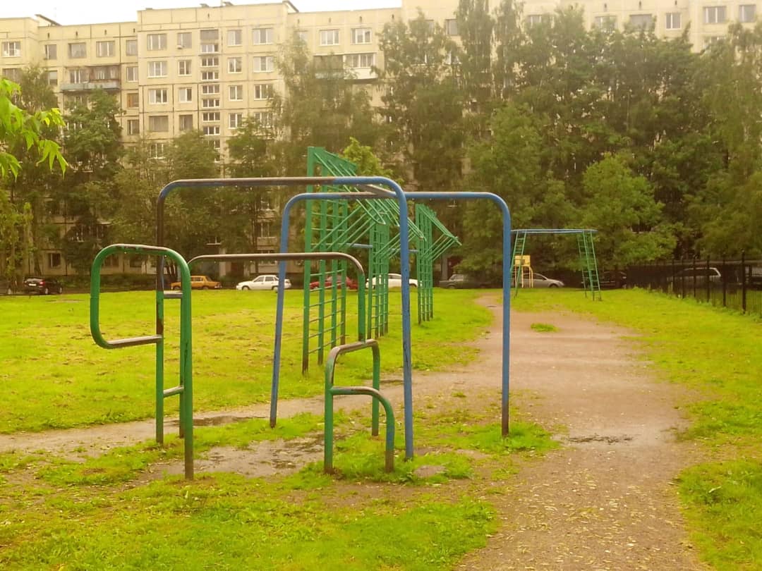 Monkey Bars at Calisthenics Park at Серебристый бульвар, Санкт-Петербург – photo 3 of 5