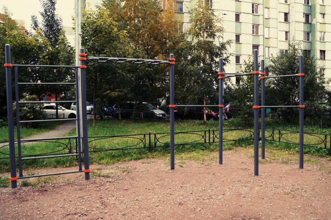 Monkey Bars at Calisthenics Park at проспект Маршала Жукова, Санкт-Петербург – photo 2 of 5