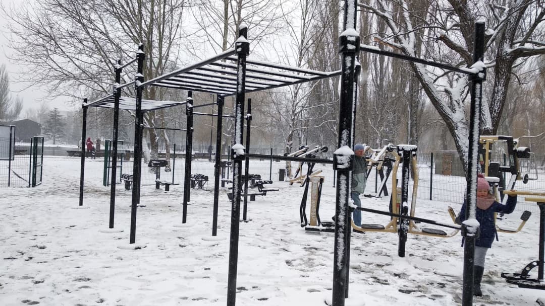 Шведская стенка на площадке Calisthenics Park at Алея Дружби, Симферополь – фото 16 из 17