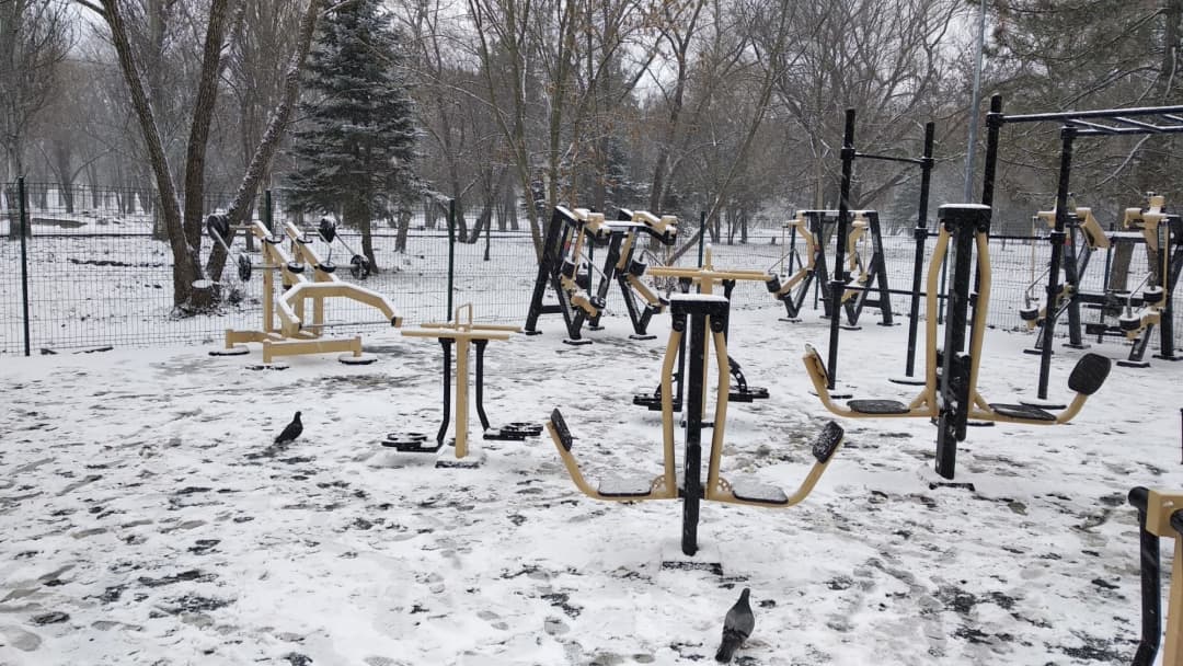 Брусья на площадке Calisthenics Park at Алея Дружби, Симферополь – фото 14 из 17