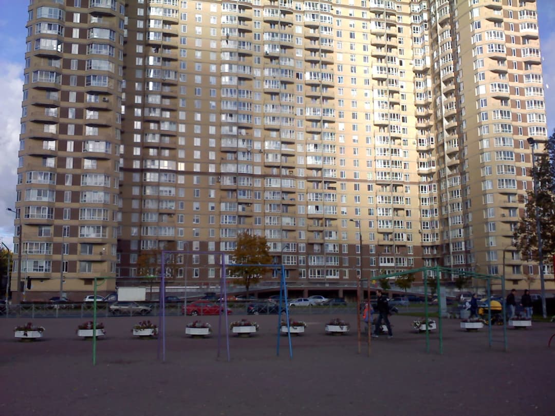 Monkey Bars at Calisthenics Park at проспект Луначарского, Санкт-Петербург – photo 6 of 8